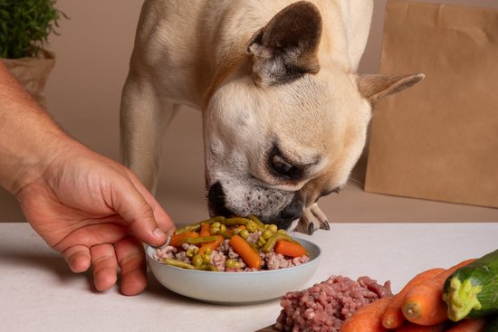 perro comida natural casera sana perro comida natural casera sana