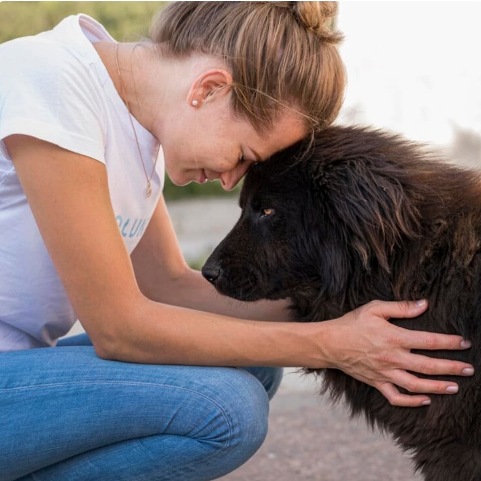 mujer abrazando perro negro en momento de afecto en exterior con luz natural mujer abrazando perro negro en momento de afecto en exterior con luz natural