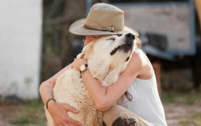 Adopción de perros vs. Compra: Una Reflexión