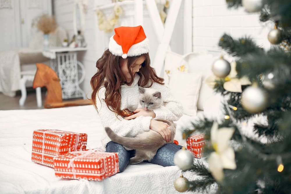 celebracion navidad con mascotas y regalos especiales en dimu mascotas tetuan hogar familiar celebracion navidad con mascotas y regalos especiales en dimu mascotas tetuan hogar familiar