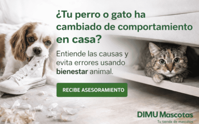 Por qué tu perro o gato se comporta de forma diferente en casa (y cómo ayudarle sin castigos ni errores comunes)